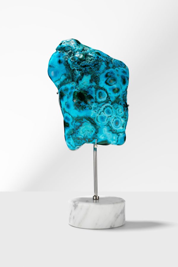 Malacholla Specimen